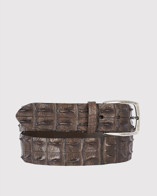 Krokodille Bælte Taupe
