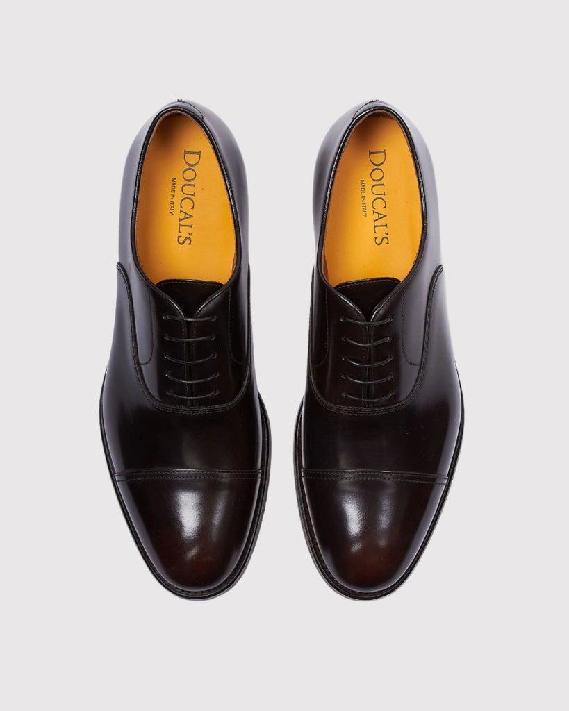 Oxford Cap Toe Horse Brun